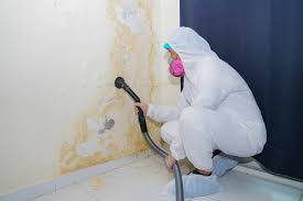 Best Asbestos and Lead Testing During Mold Inspection in Orland Hls, IL